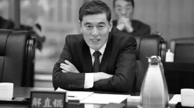 ​毛阿敏：39岁嫁解直锟，丈夫离世留下260亿无法接管