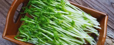 ​如何让豌豆发芽