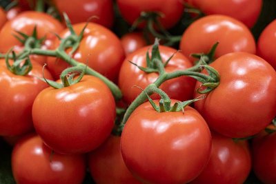 ​西红柿居然能防癌？但这样的千万别吃