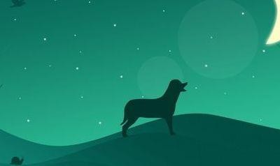 魔教传说攻略(魔教传说148天下无狗篇隐藏英雄密码)