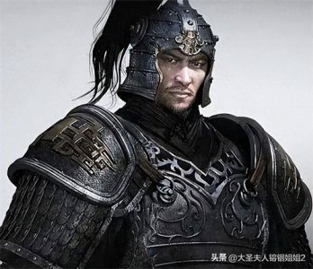 ​被历史遗忘的猛将，拯救了汉族的抗胡英雄——武悼天王冉闵