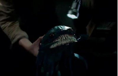 ​尸蟞是什么东西