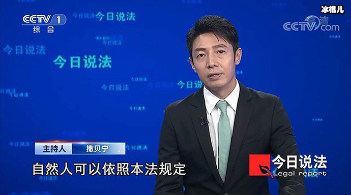 撒贝宁今日说法