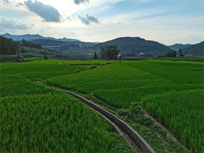 ​什么是医务人员职业暴露及其处理方式有哪些？