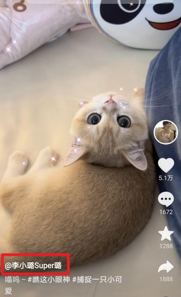 李小璐买的鞋子(李小璐PG1疑设计情侣品牌)(7)