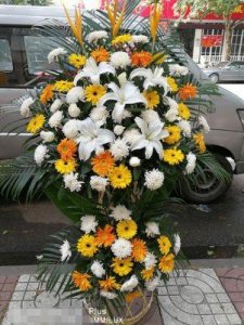 ​王馥荔的丈夫举行悼念活动，灵堂曝光王馥荔情绪低落，侯勇林永健献花圈