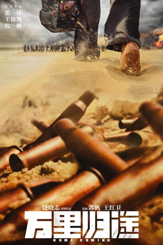 流浪地球票房海外票房（独行月球票房破30亿）(12)