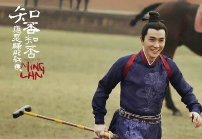 ​知否知否打马球是第几集