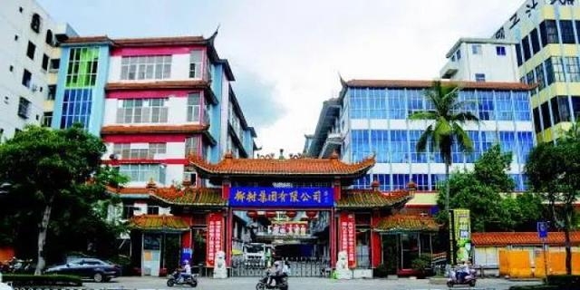 椰树集团赵波董事长(椰树集团董事长陈辉) 椰树集团 赵波 第1张 椰树集团赵波董事长(椰树集团董事长陈辉) 椰树集团 赵波 第1张