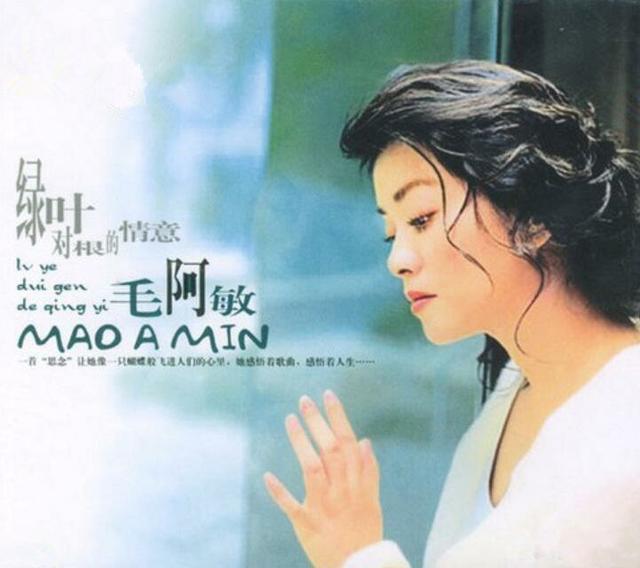 毛阿敏如今的状况（25岁爆红26岁跌落神坛）(9)