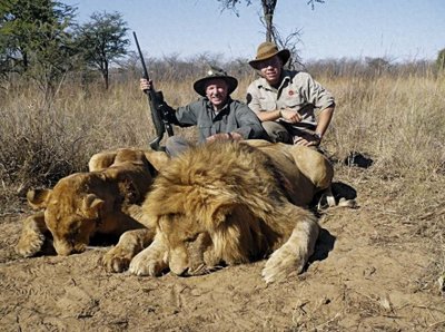 ​盘点被猎杀的5头狮王：银泰杜梅拉仅排第3，秃尾巴屈居第4