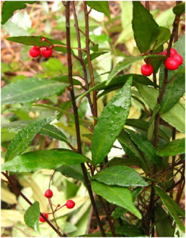 歌手程琳个人资料,唱信天游的程琳简历个人资料简介,本文共(3508字) 歌手程琳个人资料,唱信天游的程琳简历个人资料简介,本文共(3508字)