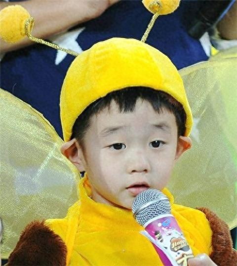 娱乐圈人气顶呱呱很得宠十位“金童玉女”（图）