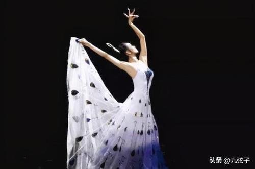 杨丽萍简历及个人资料简介，胡宝善(杨丽萍哪里人)