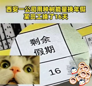 ​蚂蚁森林能量兑换的那些小事