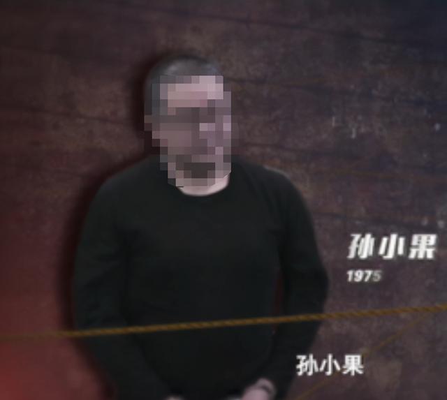 孙小果案解密(曹说法重案盘点)(2)