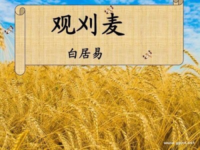 ​白居易《观刈麦》原文及翻译（观刈麦诗词鉴赏）