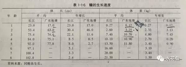 鲢鳙生长过程(鲢鳙花白鲢鱼的摄食与生长)(9)