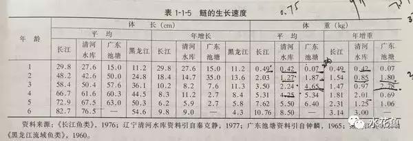 鲢鳙生长过程(鲢鳙花白鲢鱼的摄食与生长)(8)