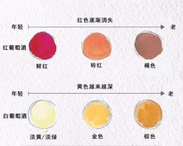 ​如何判断葡萄酒的品质(如何判断葡萄酒好坏)