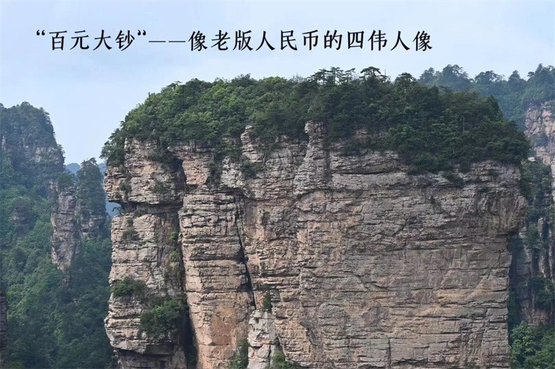 黄山和张家界哪个更值得去(黄山和张家界哪个风景好)