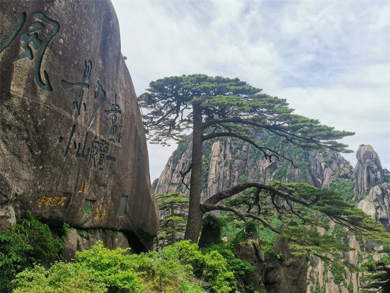 黄山和张家界哪个更值得去(黄山和张家界哪个风景好)
