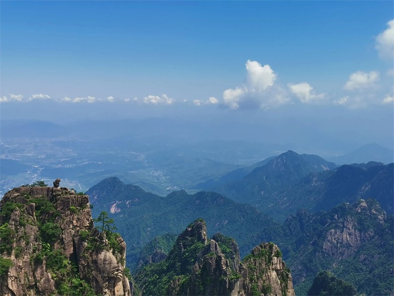 黄山和张家界哪个更值得去(黄山和张家界哪个风景好)