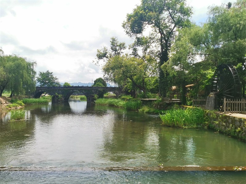 黄山和张家界哪个更值得去(黄山和张家界哪个风景好)
