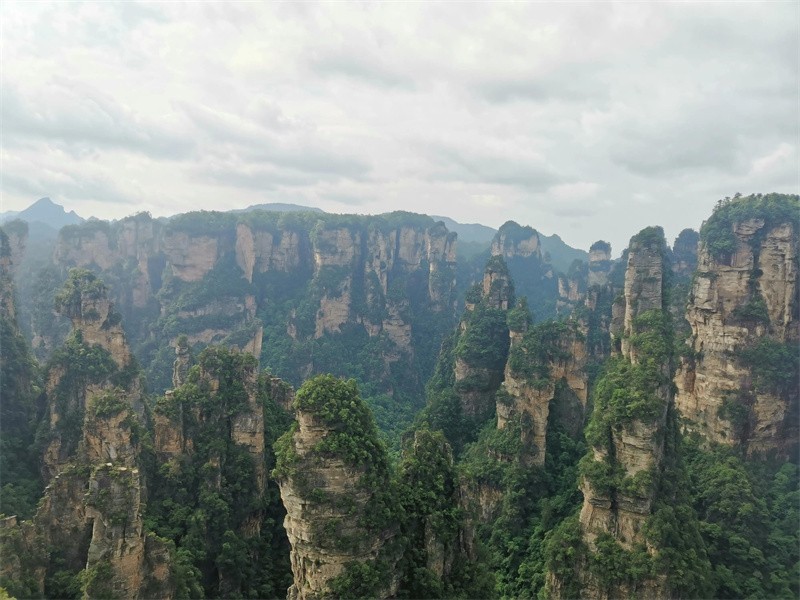 黄山和张家界哪个更值得去(黄山和张家界哪个风景好)