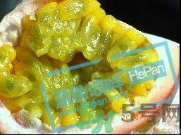 鸡蛋果和百香果的区别 鸡蛋果和百香果一样吗 鸡蛋果和百香果的区别 鸡蛋果和百香果一样吗