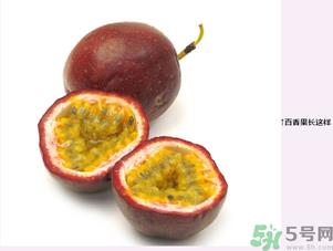鸡蛋果和百香果的区别 鸡蛋果和百香果一样吗 鸡蛋果和百香果的区别 鸡蛋果和百香果一样吗