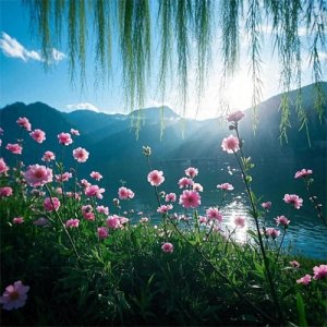 ​《春日》：朱熹笔下的诗意春光与哲理探寻