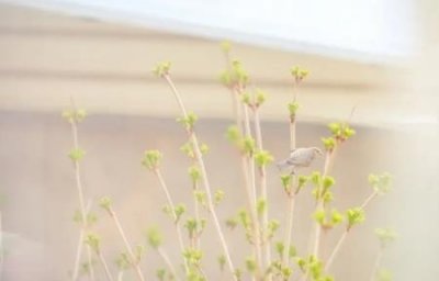 ​天津普家乐家具天津的装修建材市场在哪