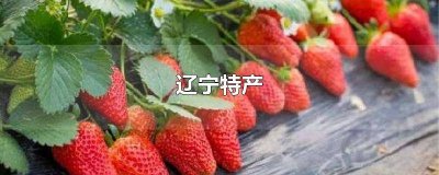 ​辽宁特产方便送人的 辽宁特产总结