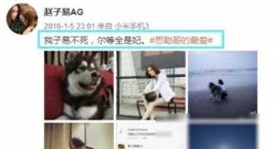 ​王思聪“狗保姆”赵子易大揭秘！7年熬走无数女友，狠角色无疑！