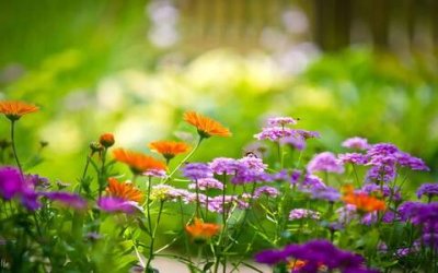 ​祝福老人的金句，祝福老人的健康吉祥话