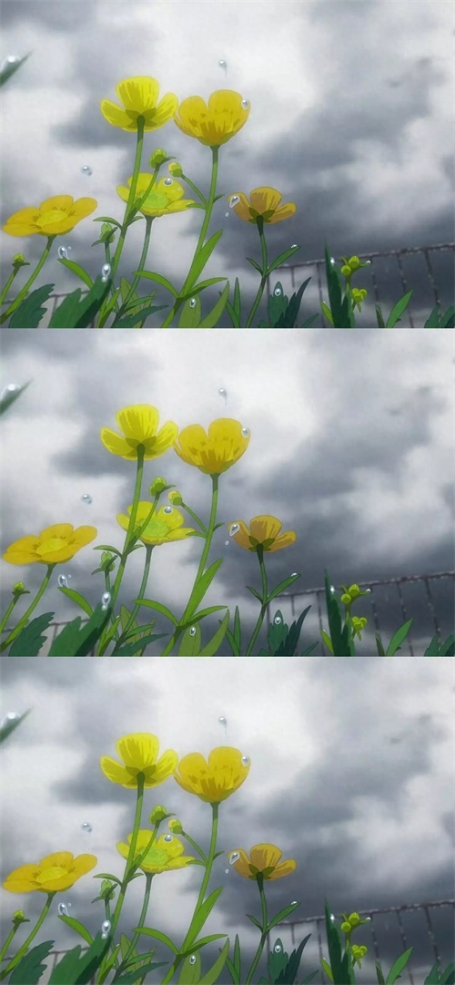 日本动漫电影天气之子,高清全屏手机壁纸,喜欢就拿走哦