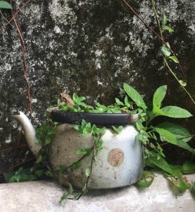 ​现实中哪些人出淤泥而不染（出淤泥而不染的人基本不存在）