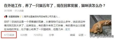 ​如何对宠物进行托运？其实并没有想象的那么难！关键是要走对流程