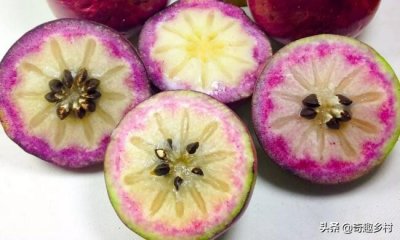 ​国内外41种不常见的奇葩水果你都知道哪些？吃过哪些？