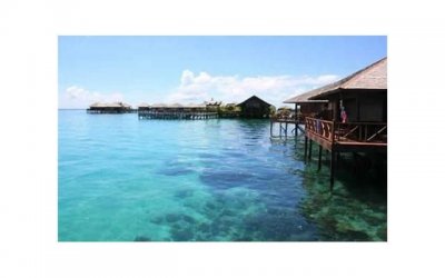 ​热情澎湃的射手座：爱情中如何抓住他们的心