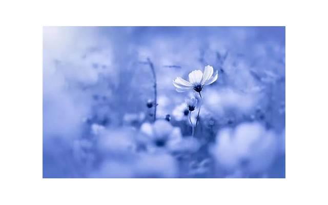 性生活插入是什么感觉 男女交欢的过程如何科学解析 性生活插入是什么感觉 男女交欢的过程如何科学解析