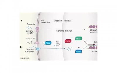 ​在大学如何撩妹子？5个大学撩妹技巧