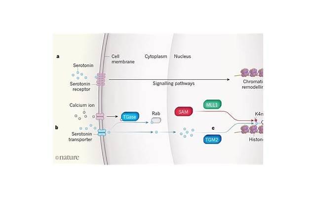 在大学如何撩妹子?5个大学撩妹技巧 在大学如何撩妹子?5个大学撩妹技巧