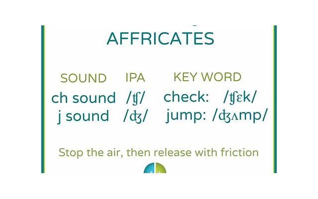 如何用雪纳瑞治愈失恋的心伤? 如何用雪纳瑞治愈失恋的心伤?