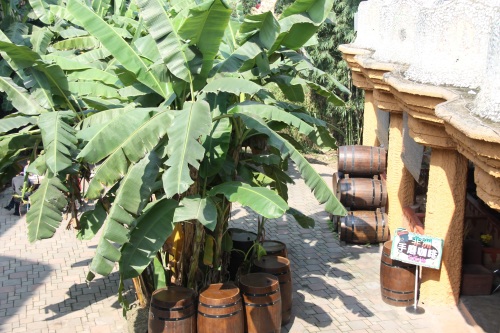 重庆洋人街老照片 再也回不去的时光记忆