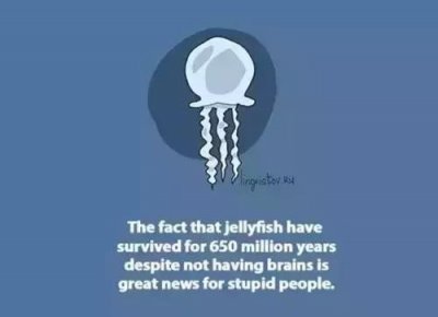 ​国外很火的英语小漫画，哪张戳到你了…