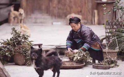 ​中国奇特的寨子之二占里村！计划生育第一村