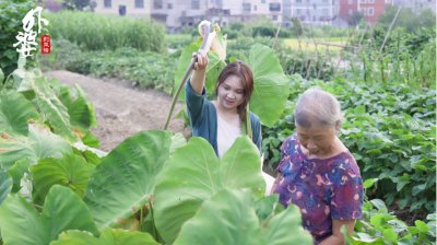 ​芋头的茎丢掉太可惜了！教你一种吃法，外酥里糯浙江人打小就吃