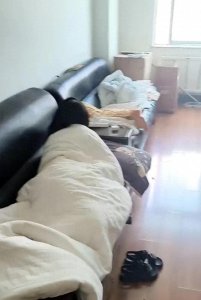 ​公职人员上班时间睡觉？官方：情况属实，启动问责调查